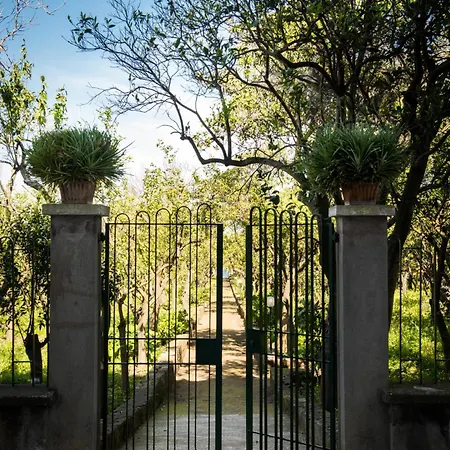 Tozzoli House アパート ソレント