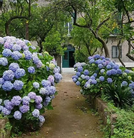 Tozzoli House * ソレント